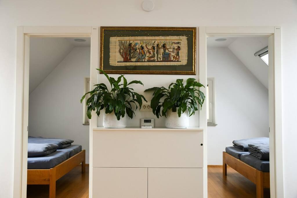 Stairway To Ljubljana Apartment المظهر الخارجي الصورة