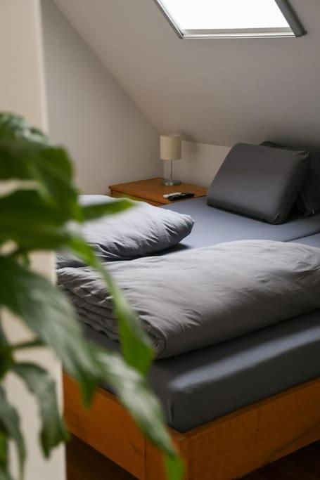 Stairway To Ljubljana Apartment المظهر الخارجي الصورة